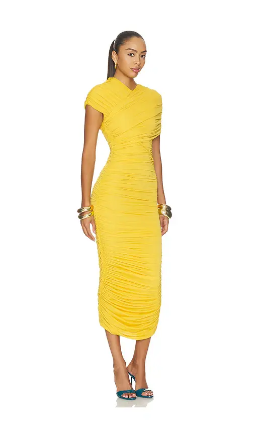 Ronny Kobo Janel Dress | Thumbnail 2