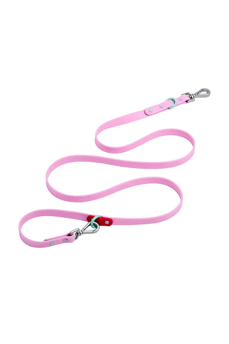 Small Leash