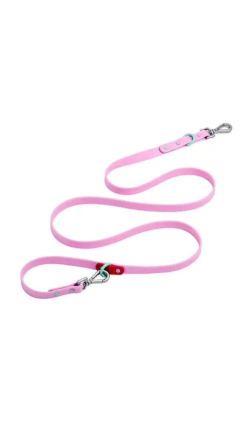Wild One Standard Leash