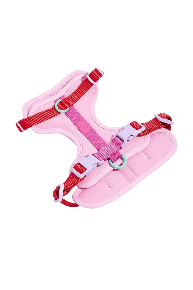 Wild One Extra Small Harness