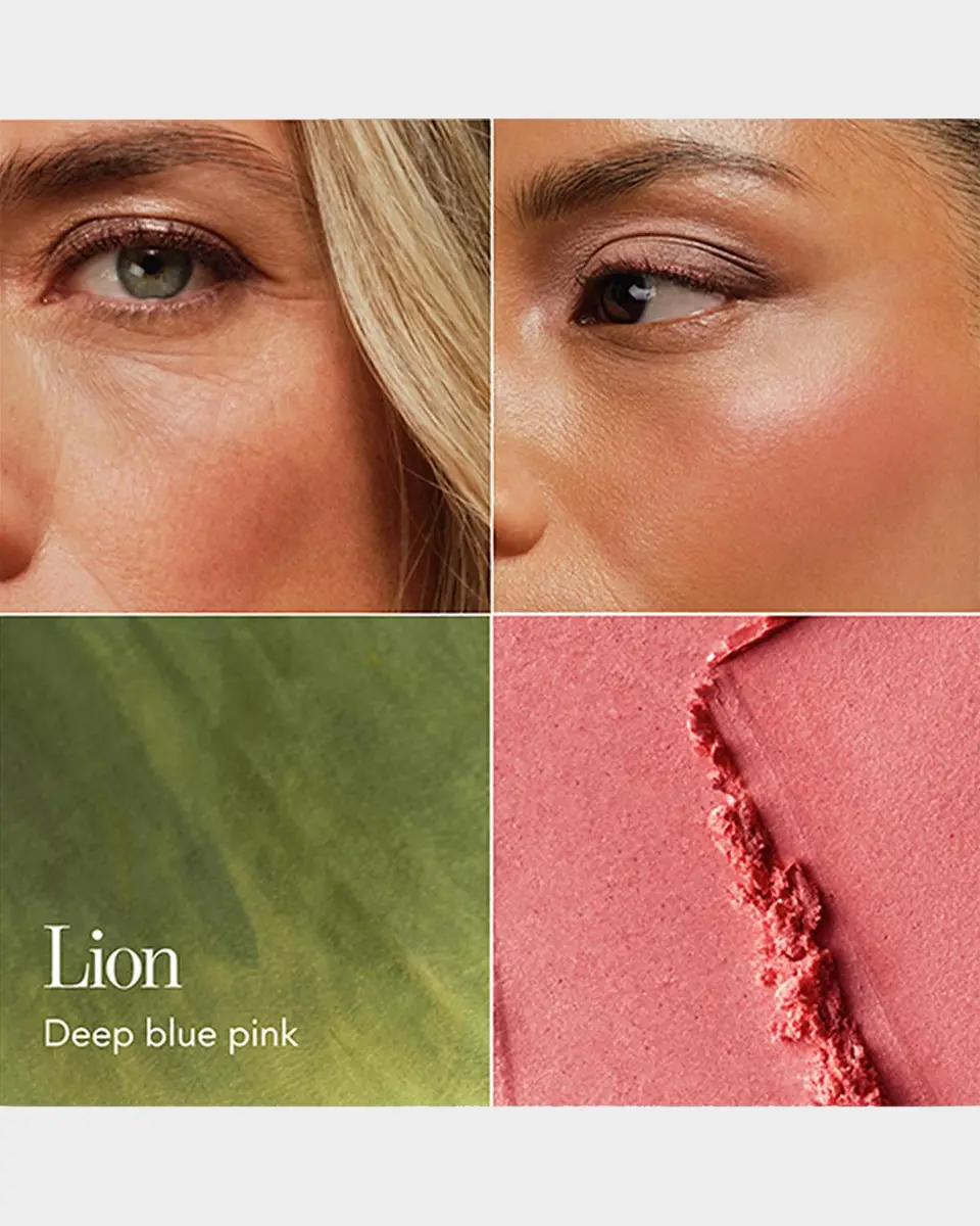 CHANTECAILLE Cheek Shade Blush | Thumbnail 3 CHANTECAILLE Cheek Shade Blush | Thumbnail 3