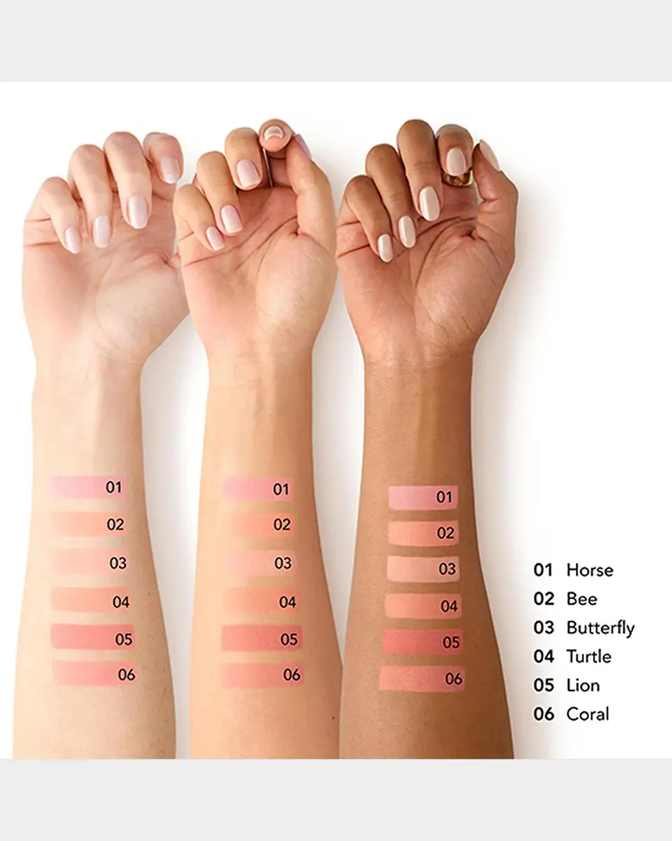 CHANTECAILLE Cheek Shade Blush | Thumbnail 4 CHANTECAILLE Cheek Shade Blush | Thumbnail 4