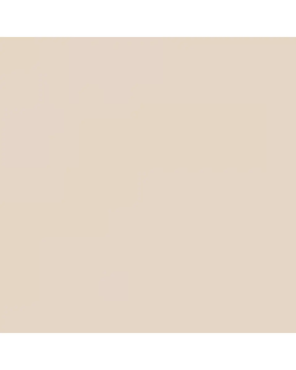 GINORI 1735 Mer Printed Porcelain Platter | Thumbnail 3