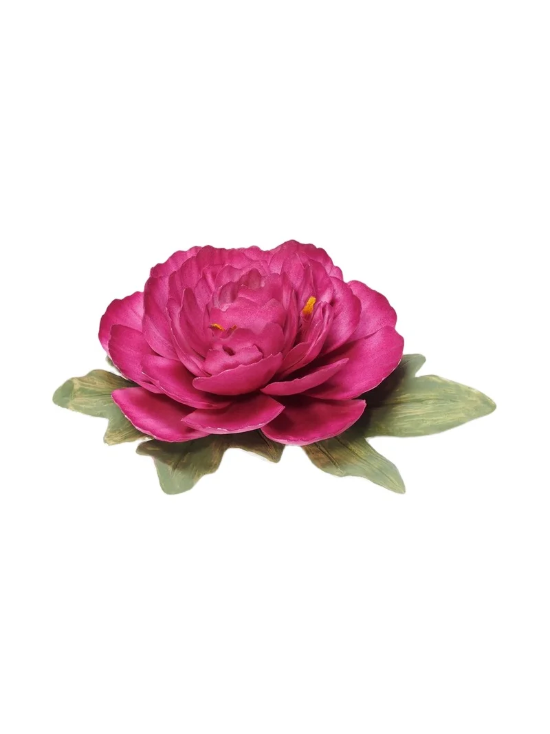 Introduction Bloom Porcelain Flower Introduction Bloom Porcelain Flower