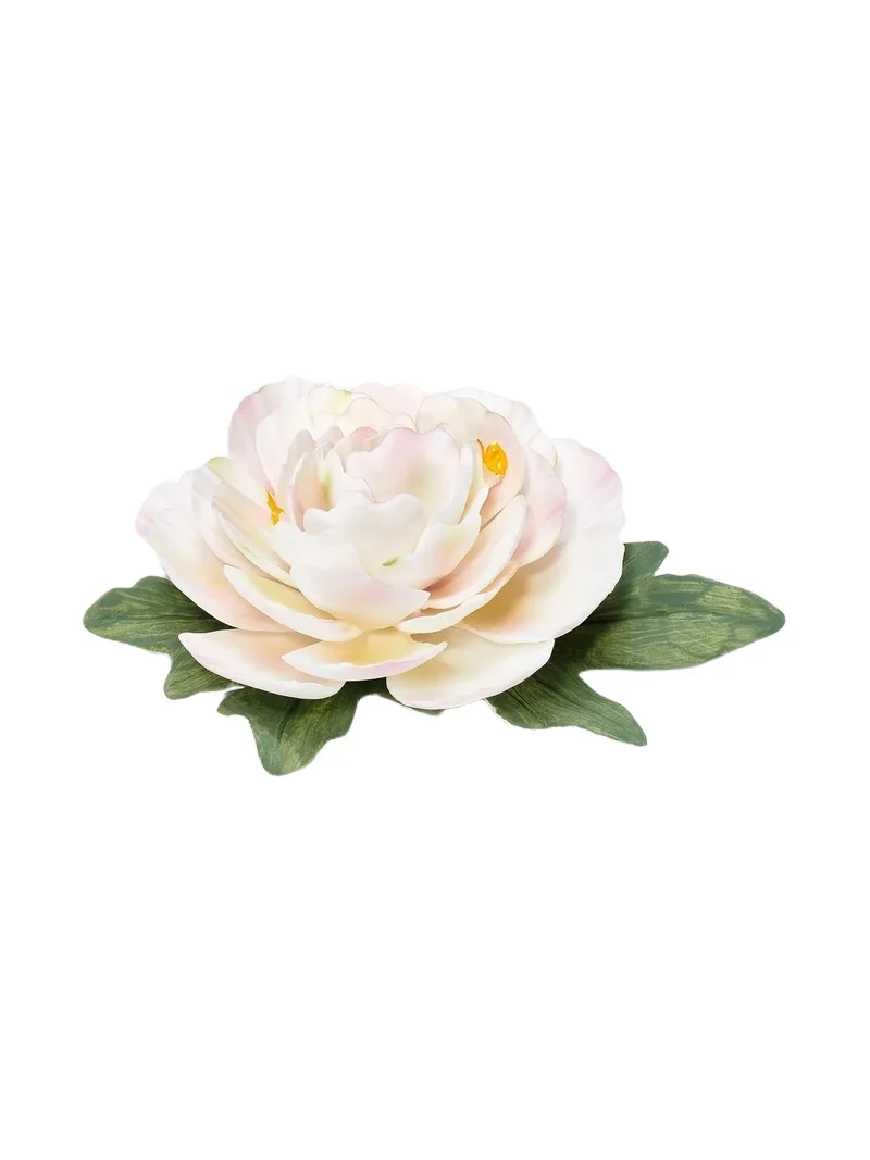 Introduction Bloom Porcelain Flower Introduction Bloom Porcelain Flower