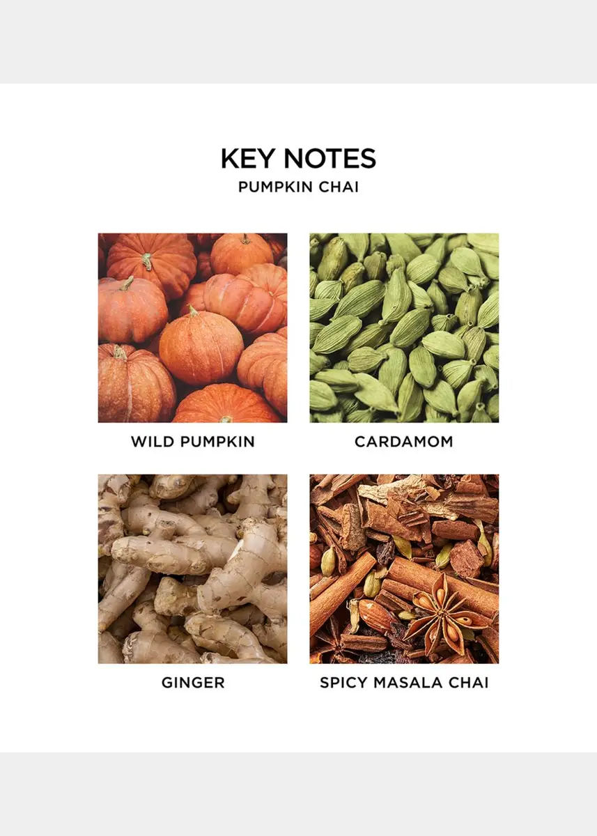 NEST New York 43.7 oz. Pumpkin Chai Candle | Thumbnail 4 NEST New York 43.7 oz. Pumpkin Chai Candle | Thumbnail 4