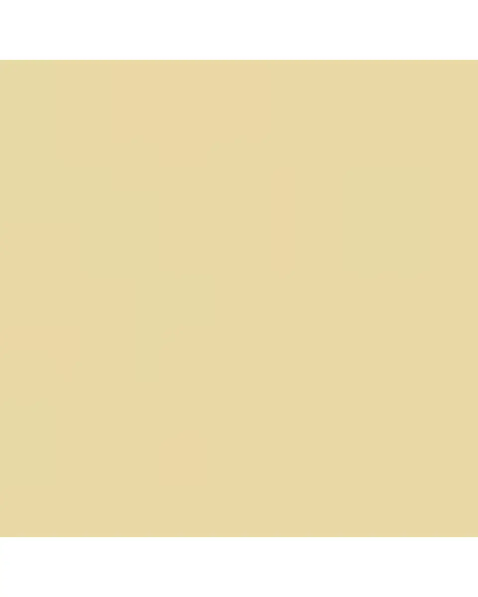 Zoë Chicco 14K Diamond Bezel-Set Marquise Stud Earring, Single (Right) | Thumbnail 3 Zoë Chicco 14K Diamond Bezel-Set Marquise Stud Earring, Single (Right) | Thumbnail 3