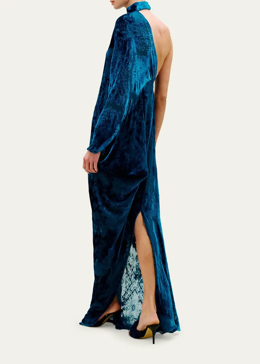 Silvia Tcherassi Anya Mock-Neck Asymmetric Velvet Burnout Maxi Dress | Thumbnail 3 Silvia Tcherassi Anya Mock-Neck Asymmetric Velvet Burnout Maxi Dress | Thumbnail 3