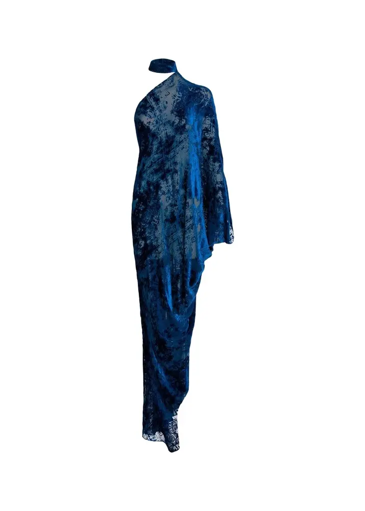 Silvia Tcherassi Anya Mock-Neck Asymmetric Velvet Burnout Maxi Dress | Image 1 Silvia Tcherassi Anya Mock-Neck Asymmetric Velvet Burnout Maxi Dress | Image 1
