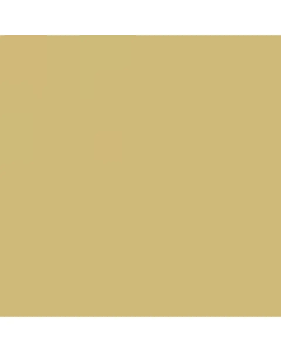 Zoë Chicco 14K Diamond Bezel-Set Marquise Stud Earring, Single (Left) | Thumbnail 3 Zoë Chicco 14K Diamond Bezel-Set Marquise Stud Earring, Single (Left) | Thumbnail 3