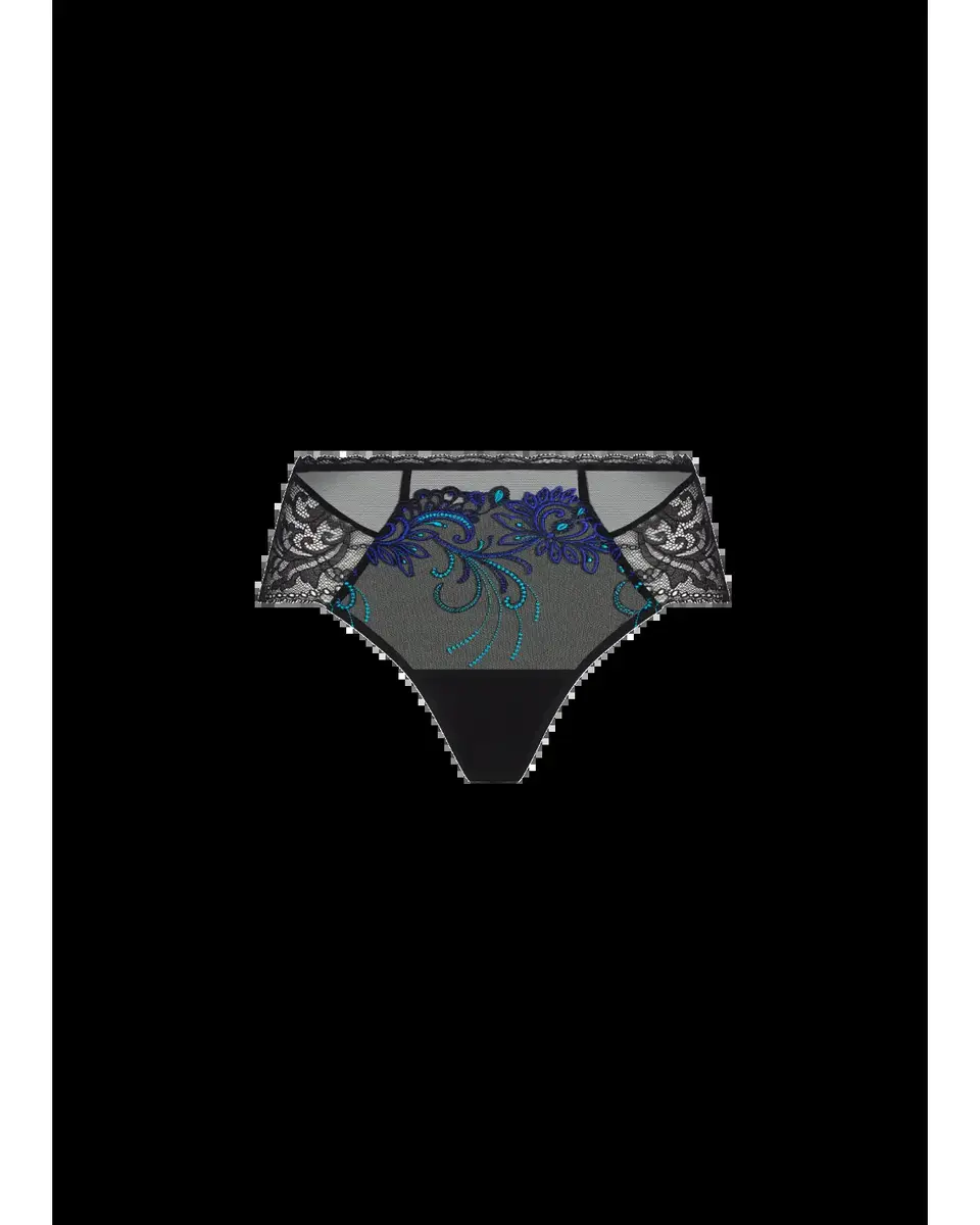 Lise Charmel Embroidered Lace & Tulle Boyshorts | Thumbnail 2 Lise Charmel Embroidered Lace & Tulle Boyshorts | Thumbnail 2