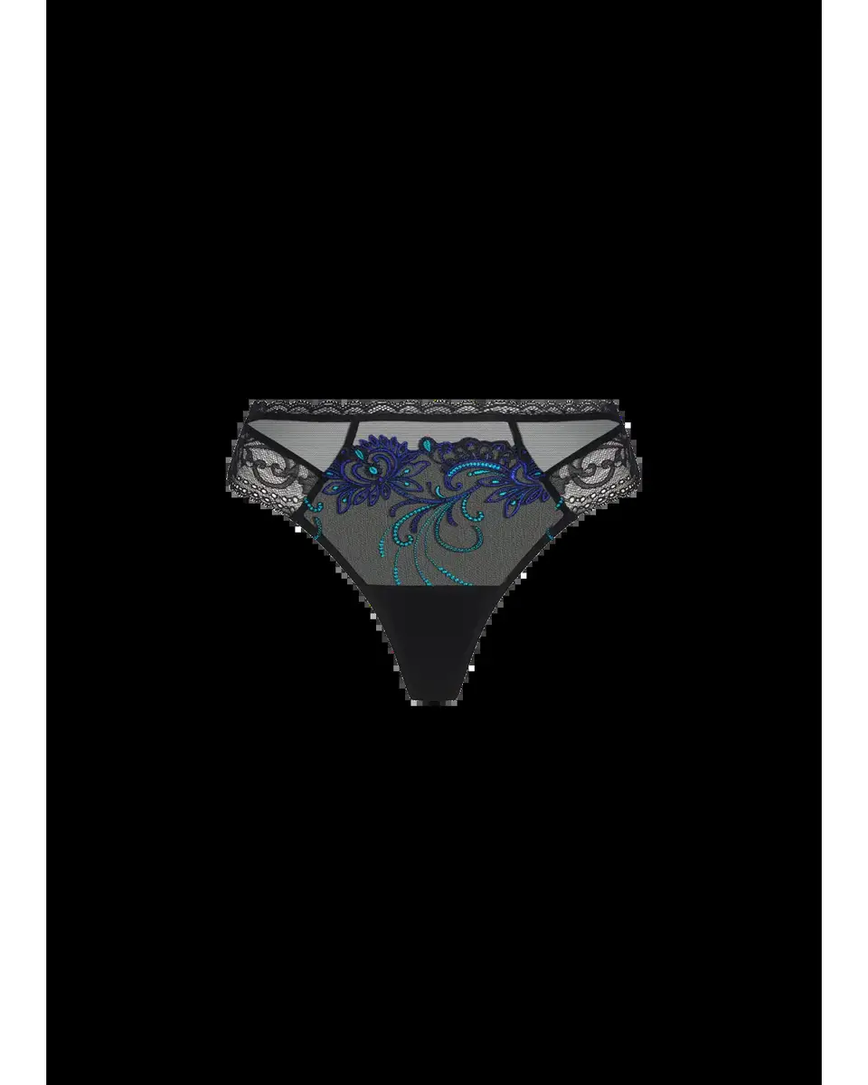 Lise Charmel Embroidered Lace & Tulle Thong | Thumbnail 2 Lise Charmel Embroidered Lace & Tulle Thong | Thumbnail 2