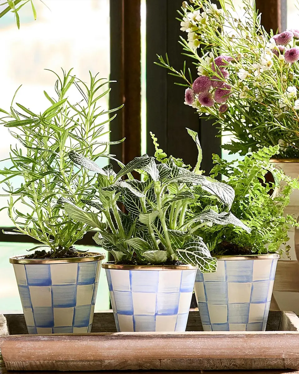 MacKenzie-Childs Sky Check 3-Piece Herb Pot Set | Thumbnail 4 MacKenzie-Childs Sky Check 3-Piece Herb Pot Set | Thumbnail 4