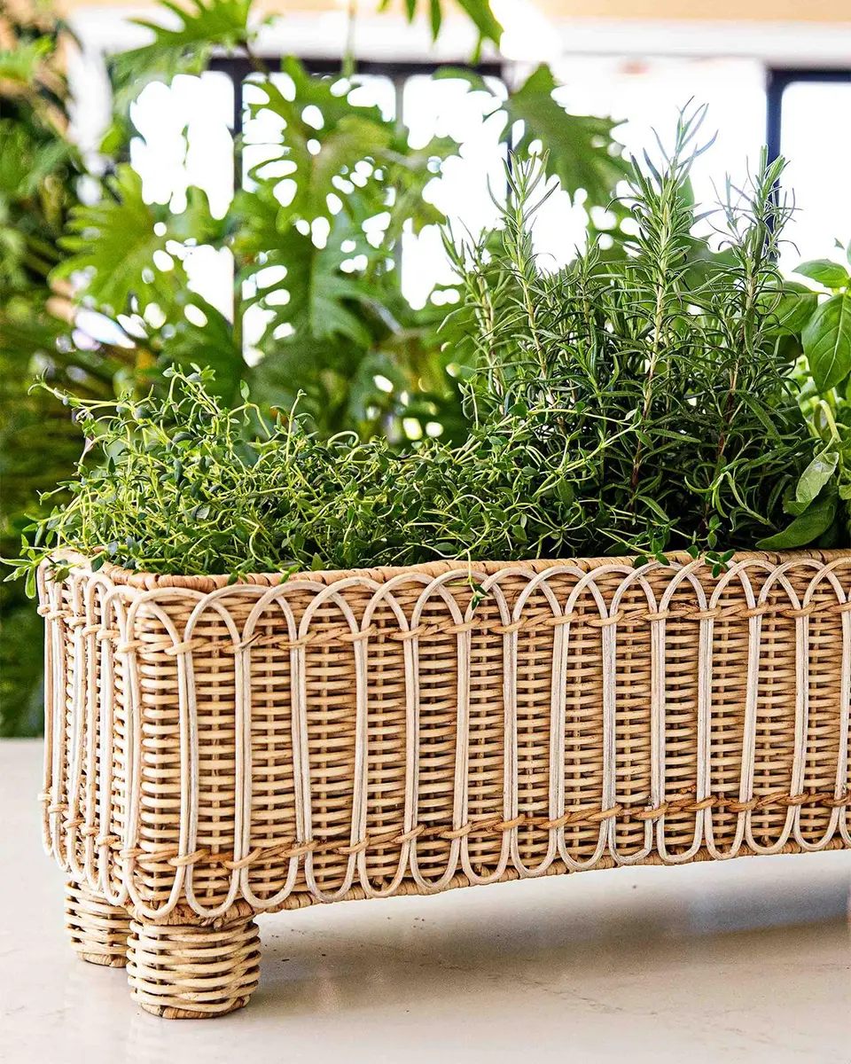 Juliska Provence Rattan Rectangular Planter | Thumbnail 3