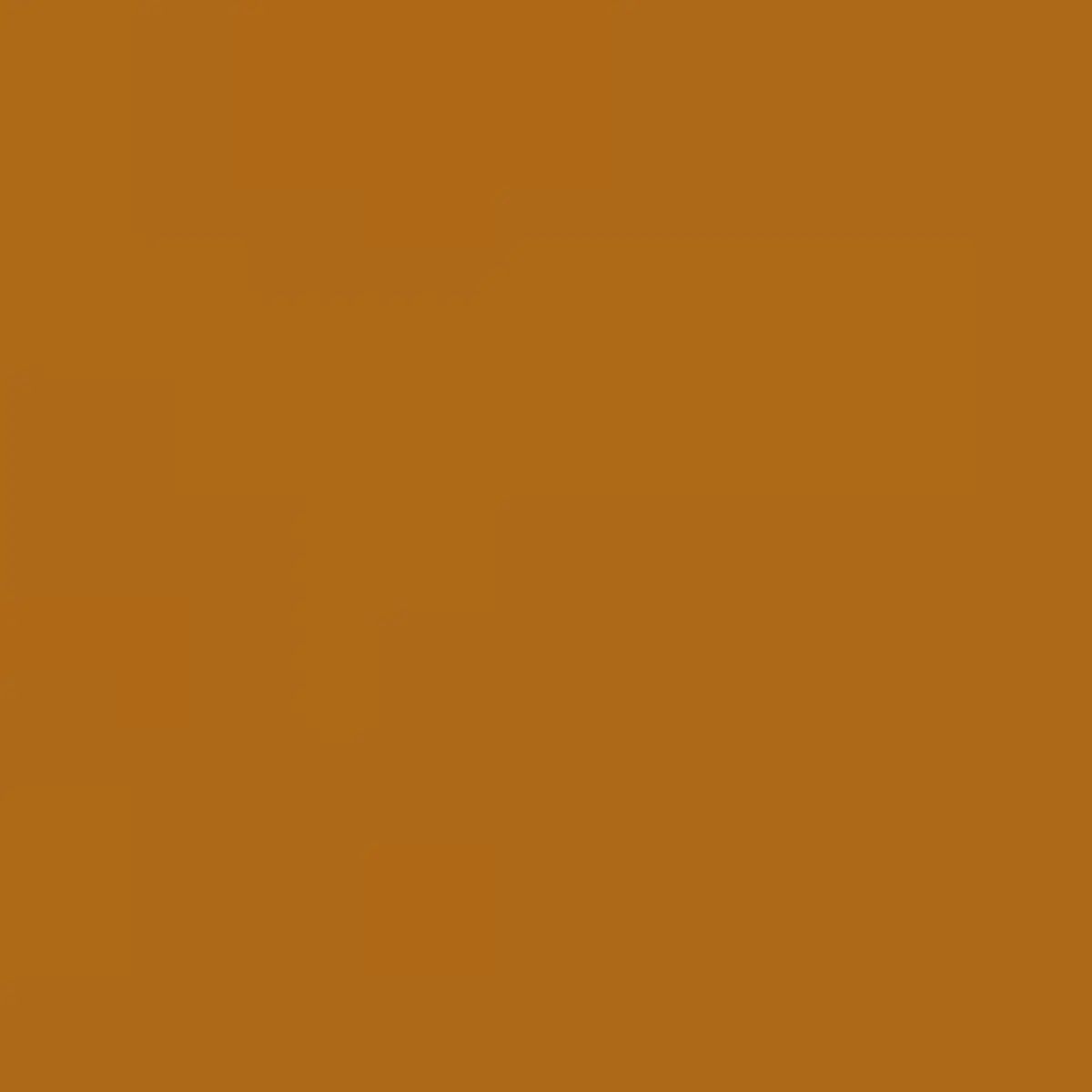 Déhanche Hollyhock Suede Belt | Thumbnail 4 Déhanche Hollyhock Suede Belt | Thumbnail 4
