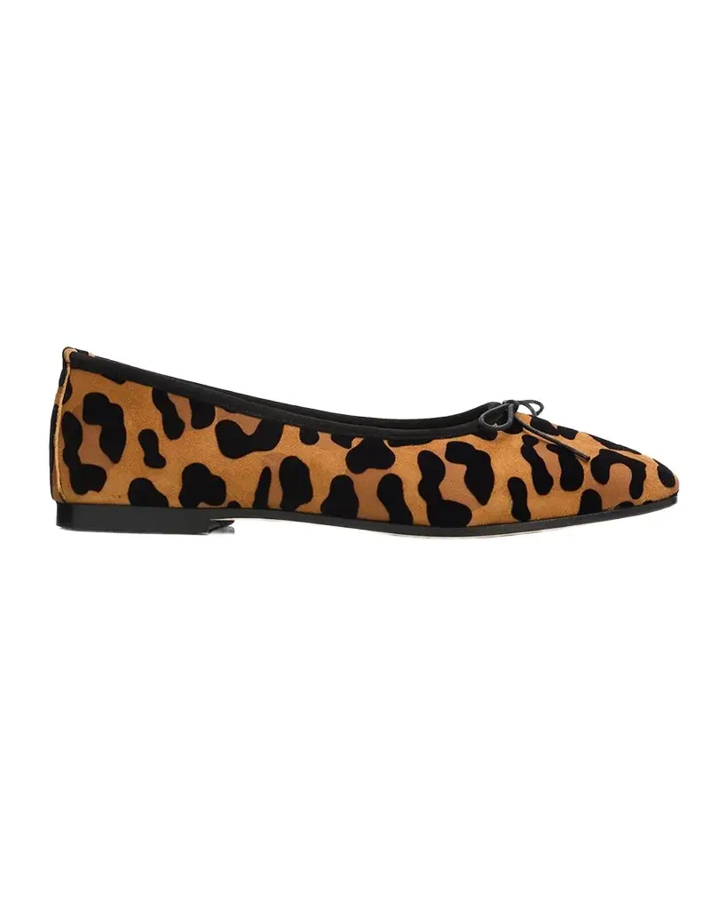 SOPHIQUE Scala Suede Ballerina Flats | Image 1 SOPHIQUE Scala Suede Ballerina Flats | Image 1