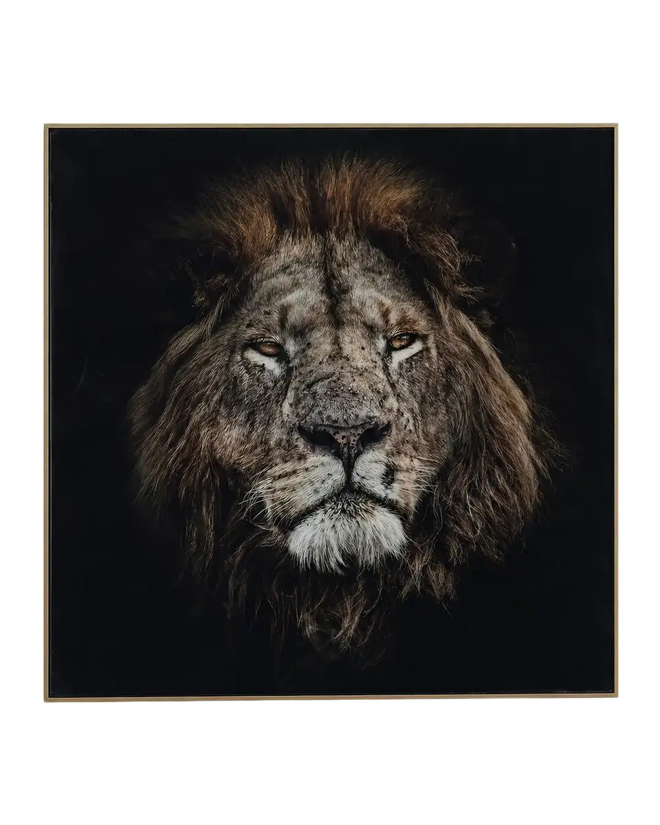 John-Richard Collection "Mufasa" Framed Photo Print by Rodney Bursiel | Thumbnail 2 John-Richard Collection "Mufasa" Framed Photo Print by Rodney Bursiel | Thumbnail 2