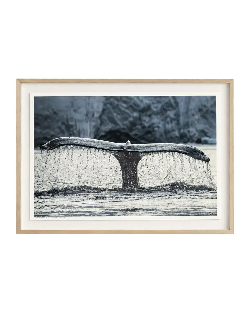 John-Richard Collection "Whale of a Tale" Framed Photo Print by Rodney Bursiel | Thumbnail 2 John-Richard Collection "Whale of a Tale" Framed Photo Print by Rodney Bursiel | Thumbnail 2