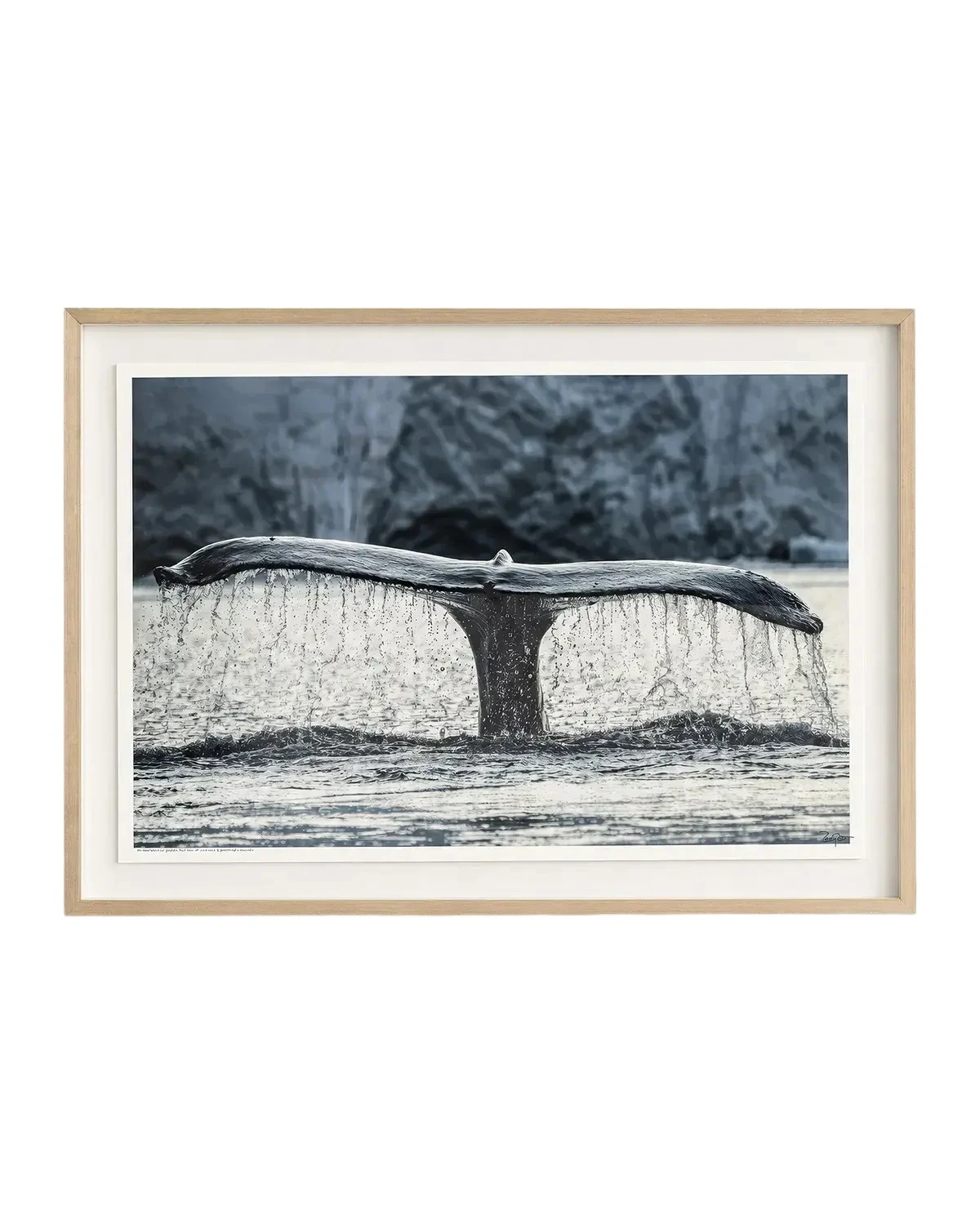 John-Richard Collection "Whale of a Tale" Framed Photo Print by Rodney Bursiel