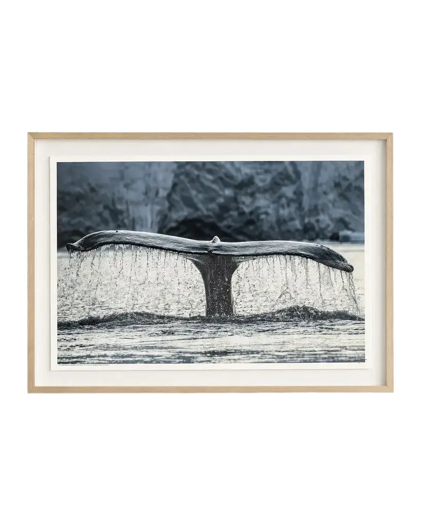 John-Richard Collection "Whale of a Tale" Framed Photo Print by Rodney Bursiel | Image 1 John-Richard Collection "Whale of a Tale" Framed Photo Print by Rodney Bursiel | Image 1