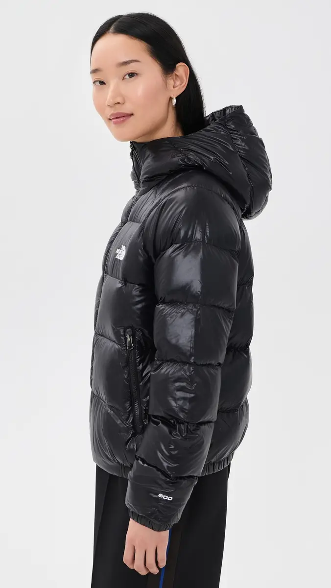 The North Face Hydrenalite Down Hooded Jacket | Thumbnail 4
