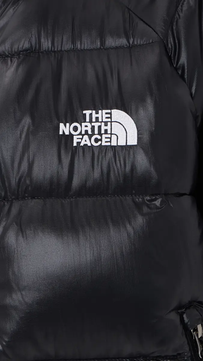 The North Face Hydrenalite Down Hooded Jacket | Thumbnail 6
