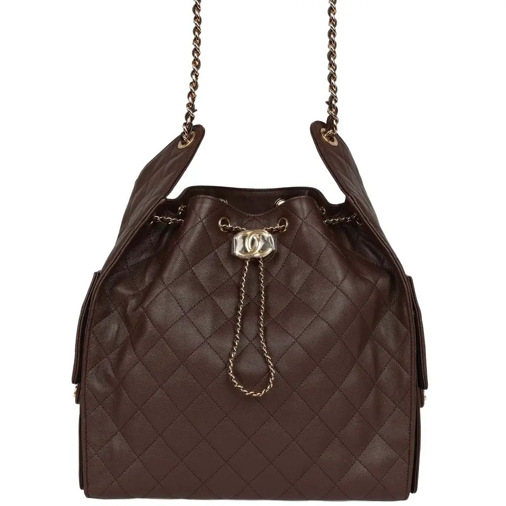 Chanel Chanel Medium 25 Hobo Bag Dark Brown Caviar Gold Hardware | Image 1 Chanel Chanel Medium 25 Hobo Bag Dark Brown Caviar Gold Hardware | Image 1