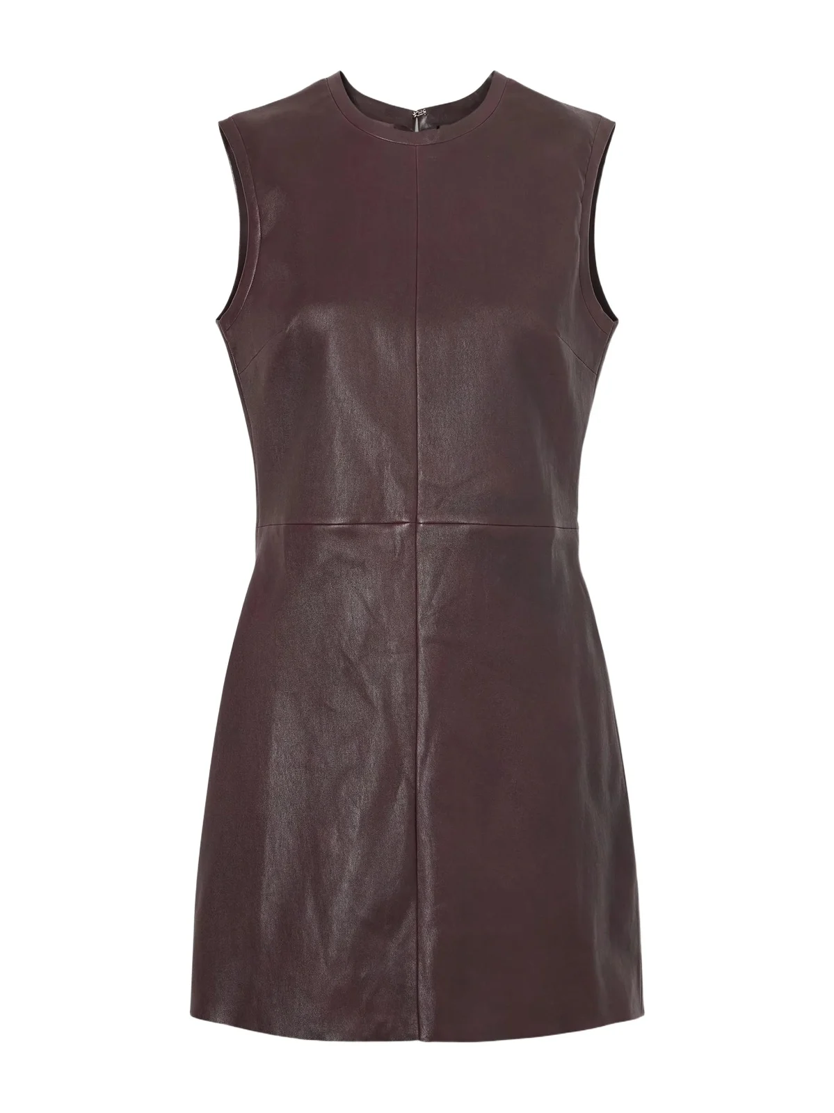 Dollie Paneled Leather Mini Dress