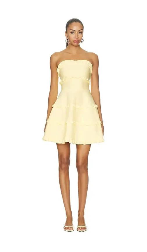Lovers and Friends Jessica Mini Dress
