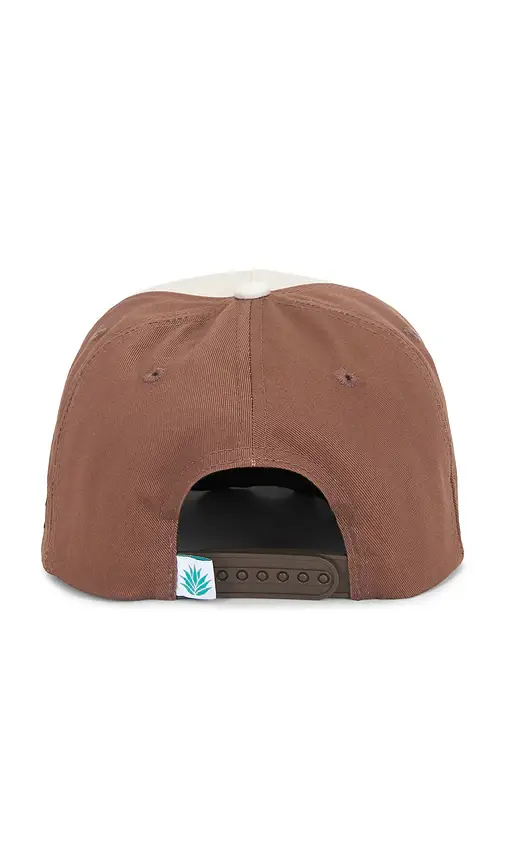 Sendero Provisions Co. Dueling Cicadas Hat | Thumbnail 2