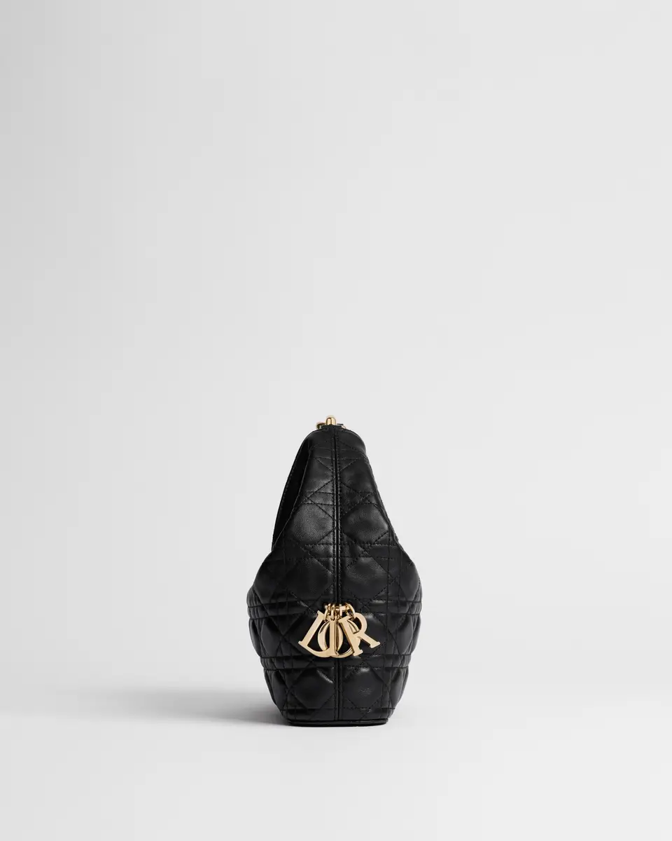 Dior Small Dior Toujours Hobo Bag | Thumbnail 2 Dior Small Dior Toujours Hobo Bag | Thumbnail 2