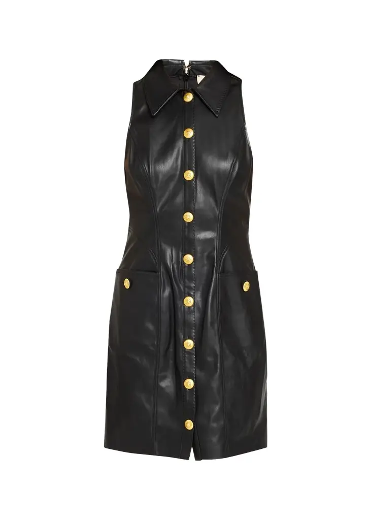 L'Agence Apolline Sleeveless Faux-Leather Mini Dress | Image 1 L'Agence Apolline Sleeveless Faux-Leather Mini Dress | Image 1