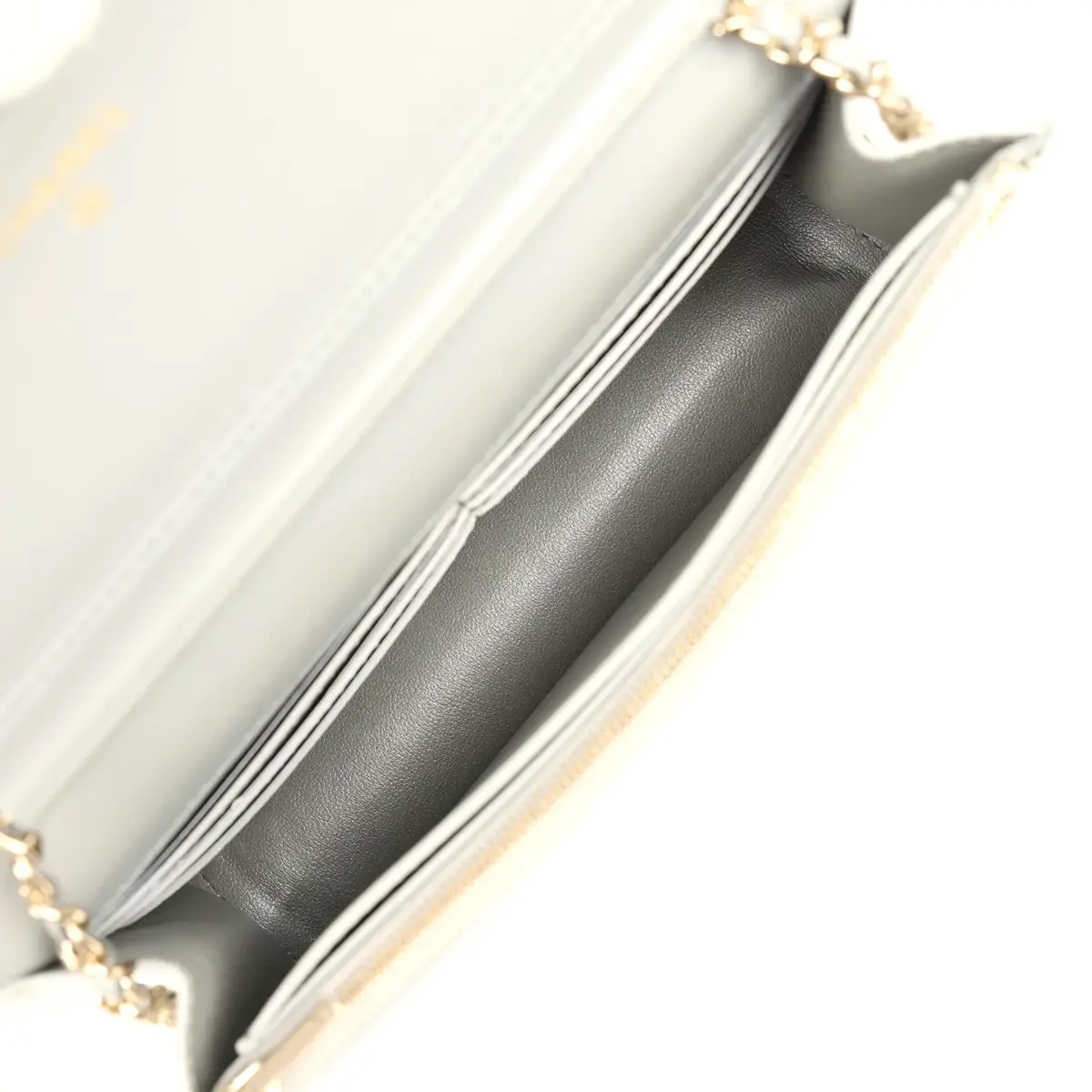 Chanel Chanel Wallet On Chain WOC Silver Metallic Lizard Embossed Calfskin Light Gold Hardware | Thumbnail 9 Chanel Chanel Wallet On Chain WOC Silver Metallic Lizard Embossed Calfskin Light Gold Hardware | Thumbnail 9