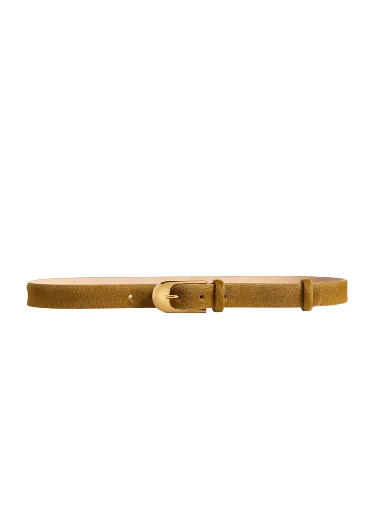 Khaite Dome Belt In Bronze Haircalf With Gold