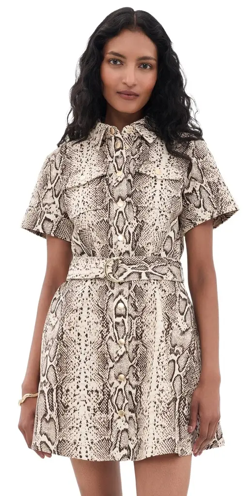 Cara Cara Walter Dress