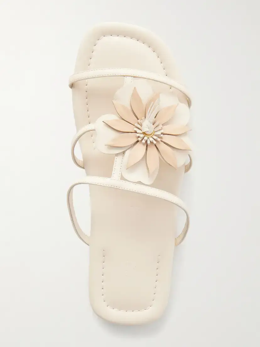 Zimmermann Belara Floral-appliquéd Leather Sandals | Thumbnail 6 Zimmermann Belara Floral-appliquéd Leather Sandals | Thumbnail 6