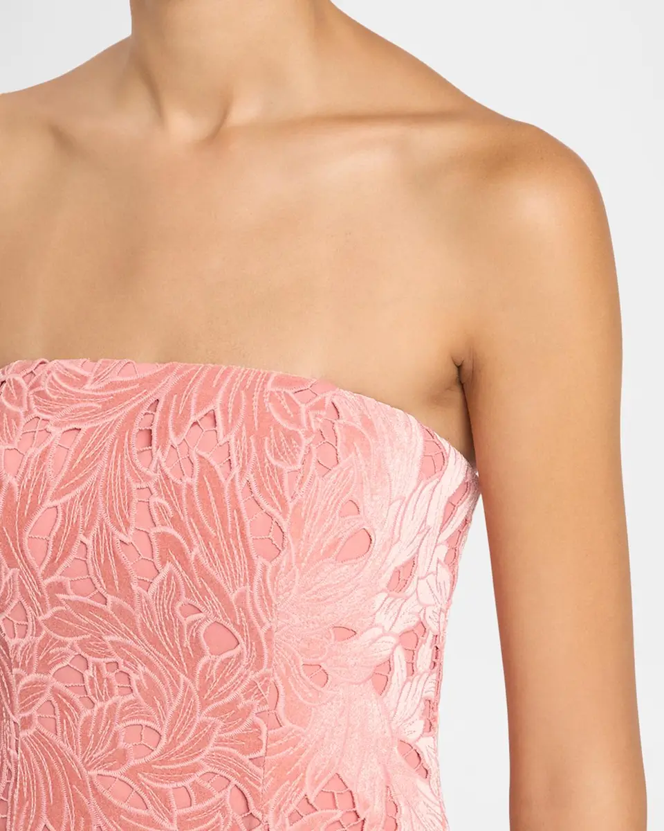 As It May Aurelie Strapless Velvet Lace Midi Dress | Thumbnail 5 As It May Aurelie Strapless Velvet Lace Midi Dress | Thumbnail 5