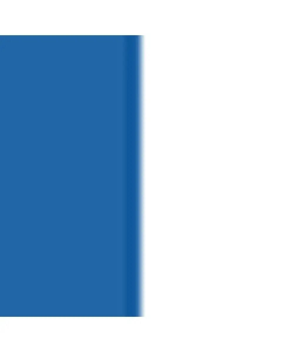 Mottahedeh Cornflower Lace Rim Soup Bowl | Thumbnail 3 Mottahedeh Cornflower Lace Rim Soup Bowl | Thumbnail 3