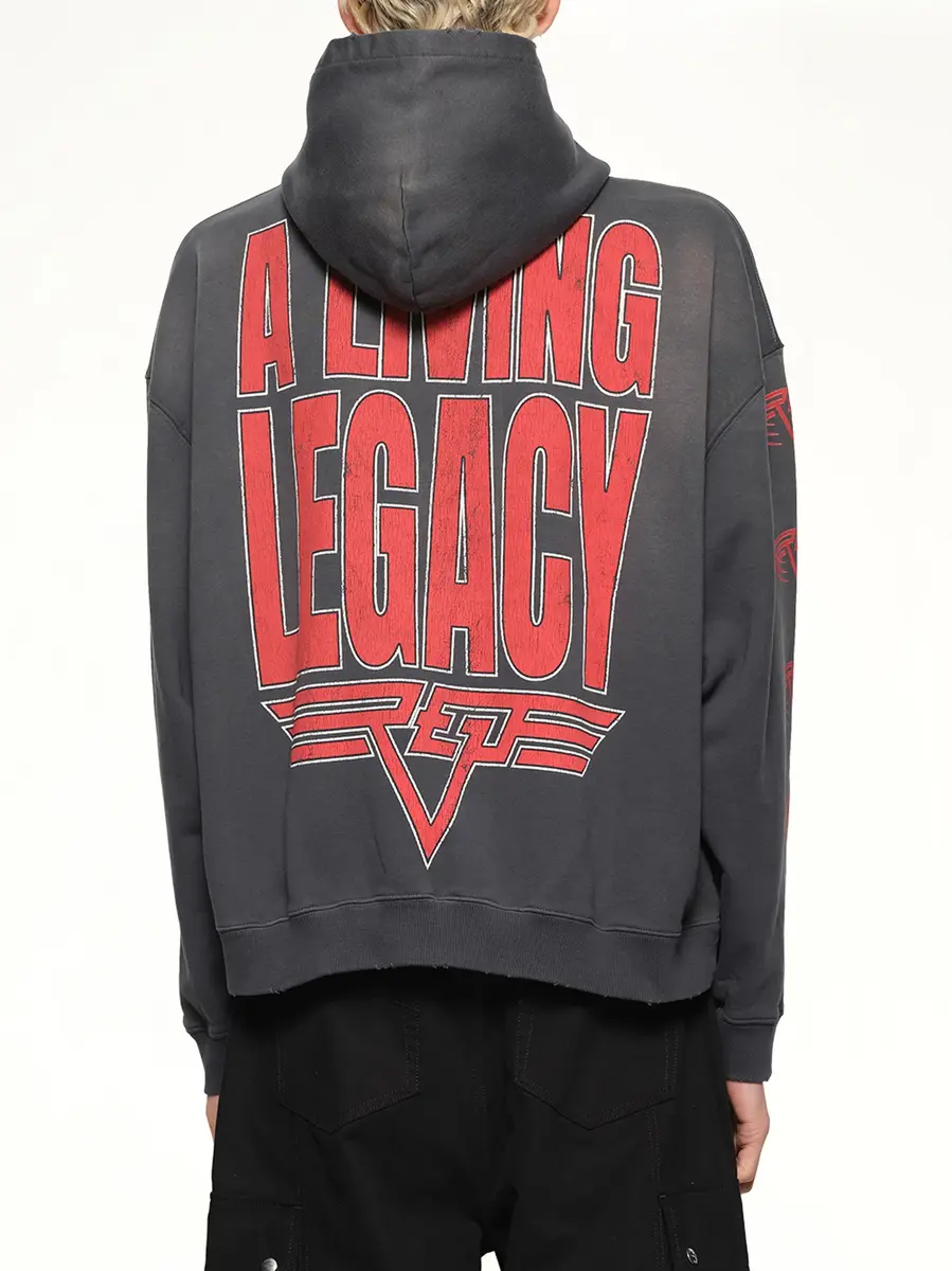 Represent Reversible Living Legacy Falcon Hoodie | Thumbnail 5