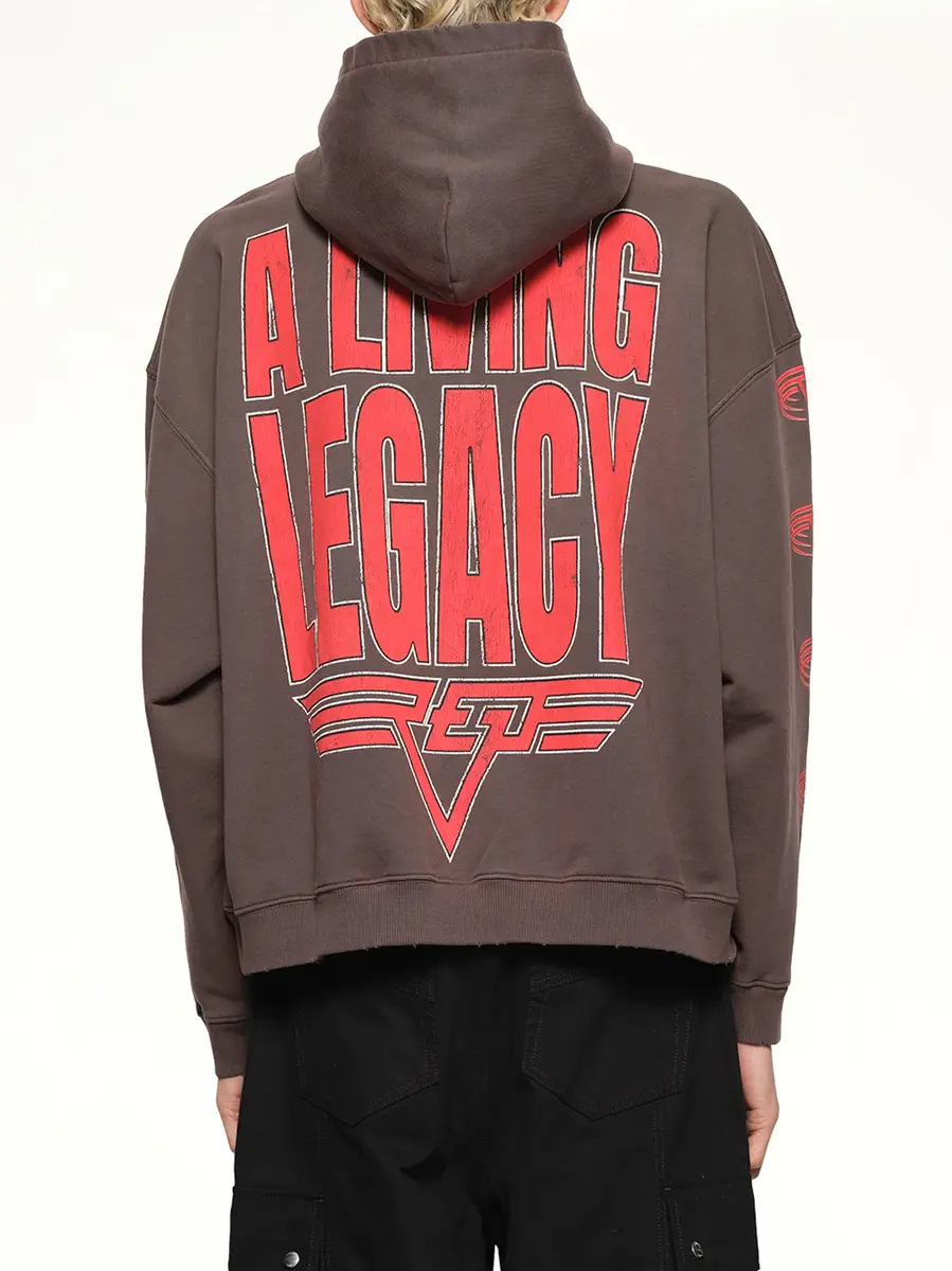 Represent Reversible Living Legacy Falcon Hoodie | Thumbnail 5