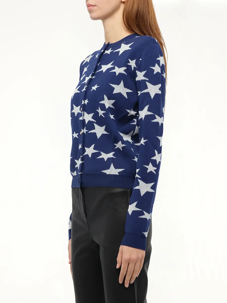 Loewe Lurex Stars Cardigan | Thumbnail 3
