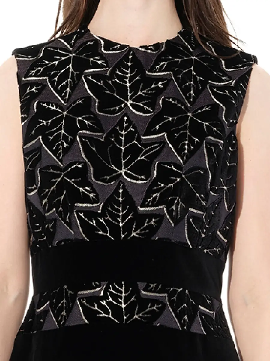 Alexander McQueen Dress in Black/beige | Thumbnail 3