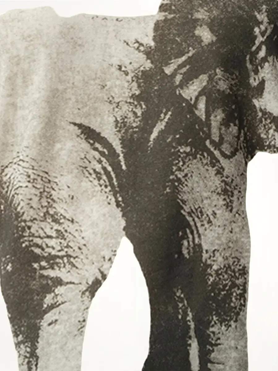FAX COPY EXPRESS Elephant Printed T-shirt | Thumbnail 2 FAX COPY EXPRESS Elephant Printed T-shirt | Thumbnail 2