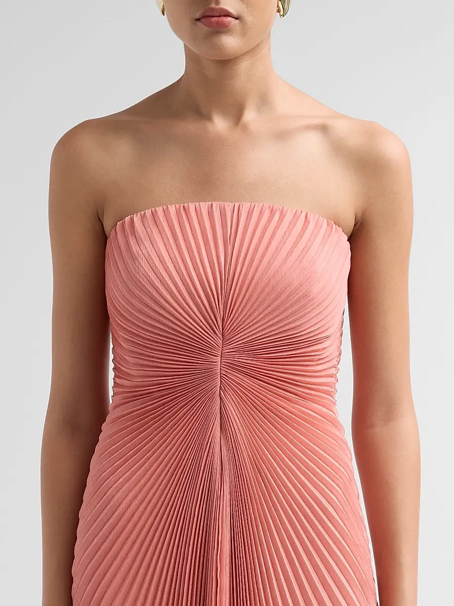 Amur Women's Myra Pleated High-Low Maxi Dress | Thumbnail 5 Amur Women's Myra Pleated High-Low Maxi Dress | Thumbnail 5