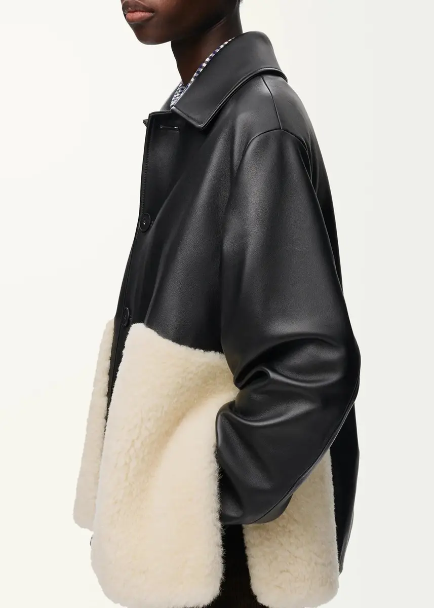 Loewe Leather & Lamb Shearling Single-Breasted Jacket | Thumbnail 5 Loewe Leather & Lamb Shearling Single-Breasted Jacket | Thumbnail 5