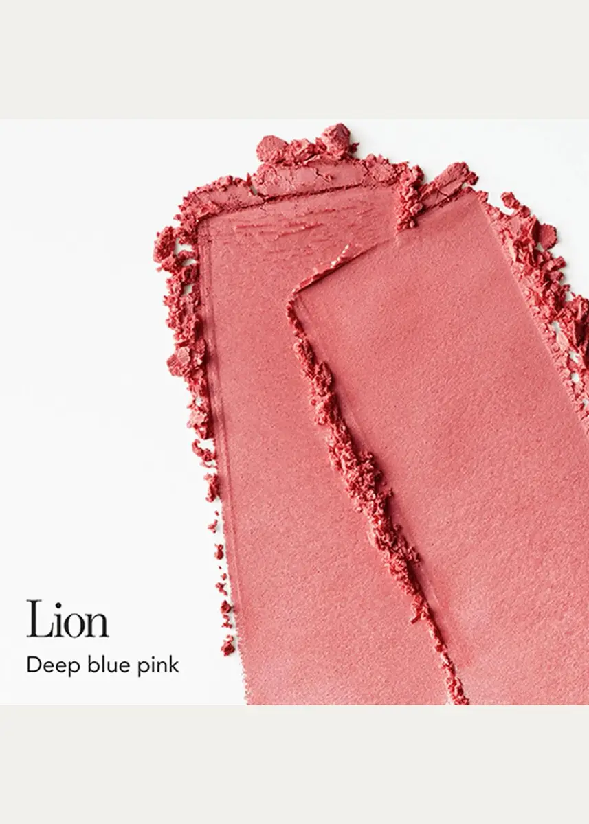 CHANTECAILLE Cheek Shade Blush | Thumbnail 2