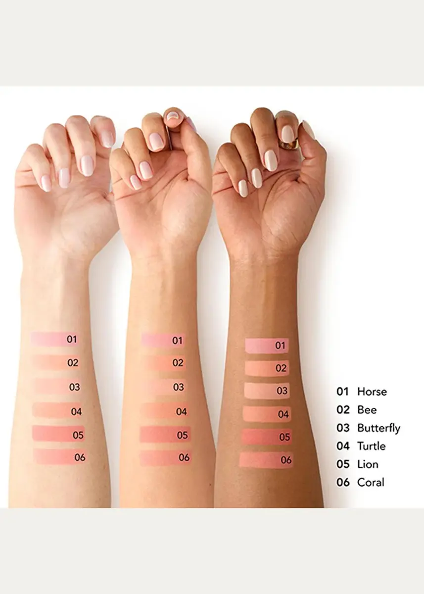 CHANTECAILLE Cheek Shade Blush | Thumbnail 4