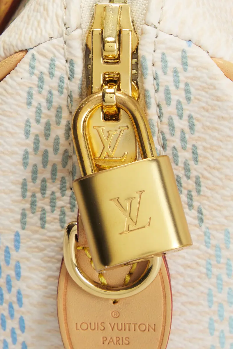 Louis Vuitton Louis Vuitton Limited Edition Damierlicious Giant Speedy Bandouliere 20 Handbag | Thumbnail 5