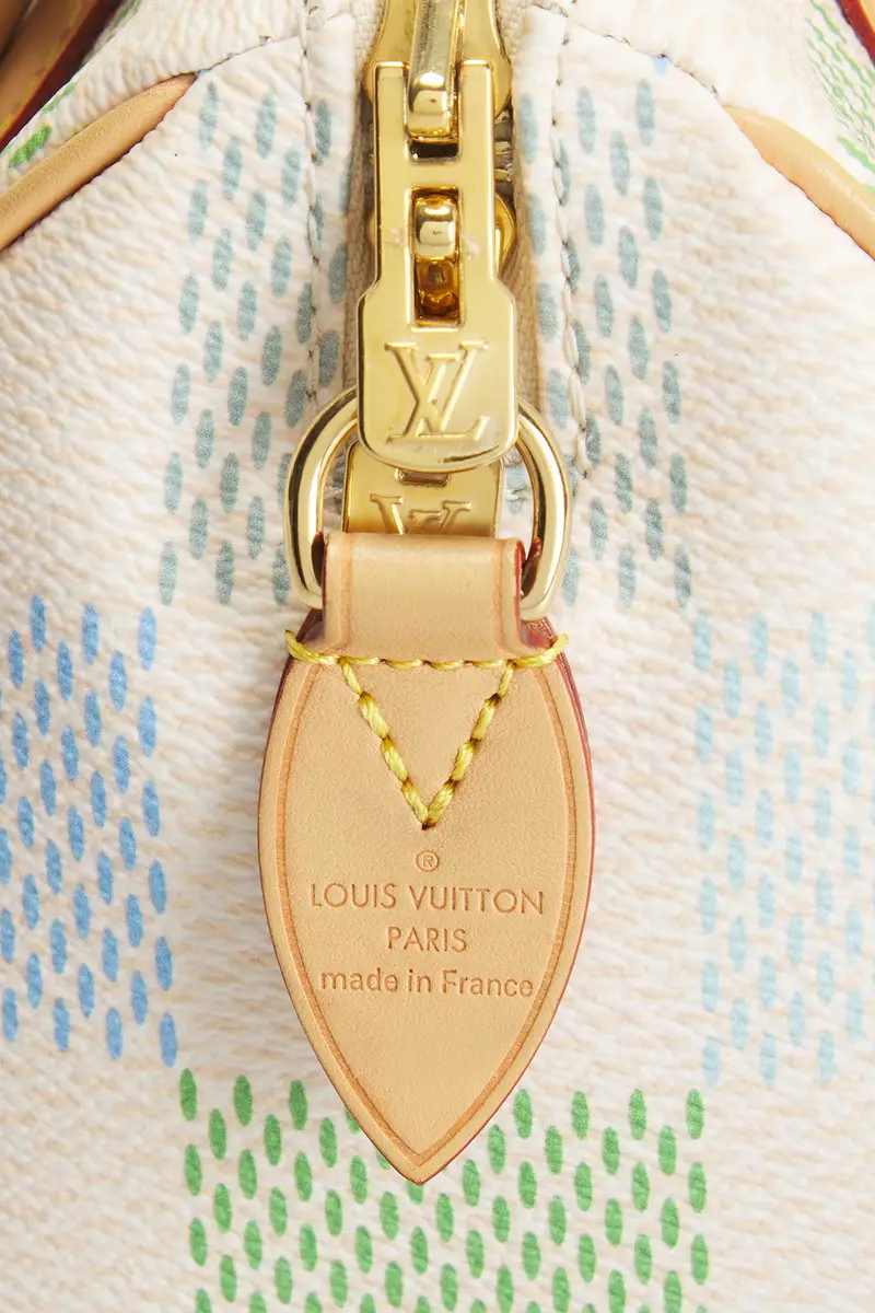 Louis Vuitton Louis Vuitton Limited Edition Damierlicious Giant Speedy Bandouliere 20 Handbag | Thumbnail 6