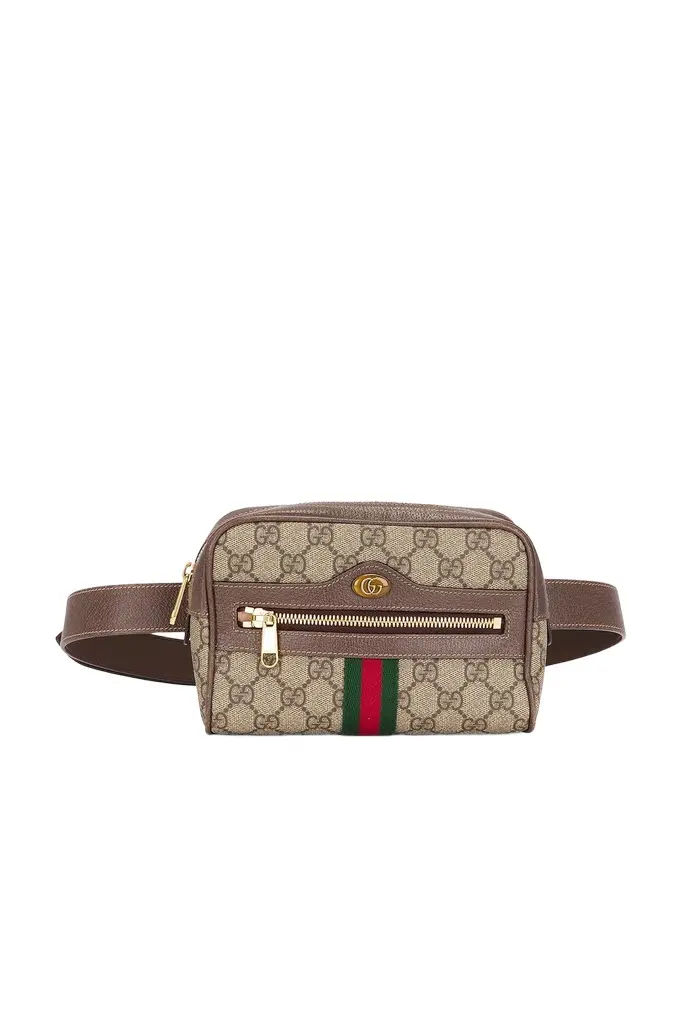 Gucci Gucci Ophidia Belt Bag | Image 1 Gucci Gucci Ophidia Belt Bag | Image 1